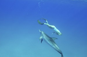 Ajara meets a dolphin